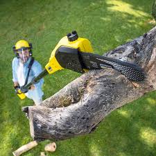 Best Emergency Tree Removal  in Murphy, TX