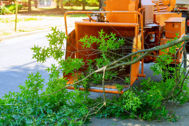 Best Utility Line Clearance  in Murphy, TX