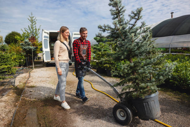 Best Hazardous Tree Removal  in Murphy, TX